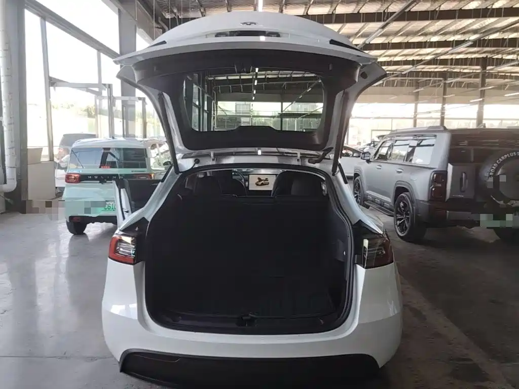 Tesla Model Y — миниатюра 19