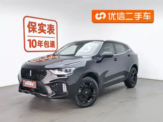 WEI PAI WEI BRAND VV5 2019