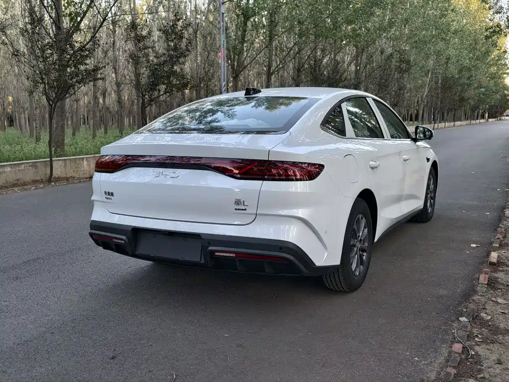 BYD QIN L