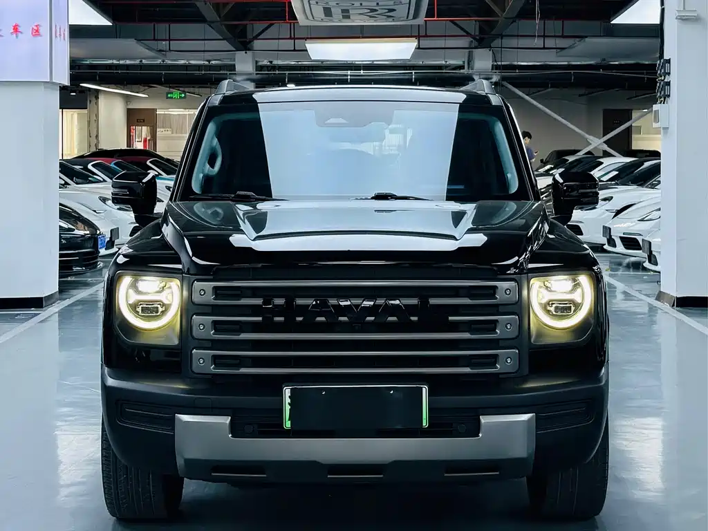 Haval Menglong New Energy — миниатюра 2