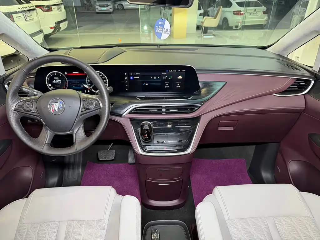 Buick GL8 — миниатюра 18