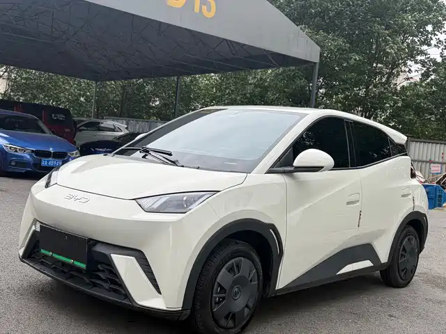 2025 BYD Seagull