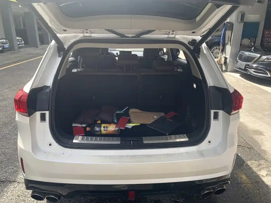 Wey Wey VV6 — миниатюра 2