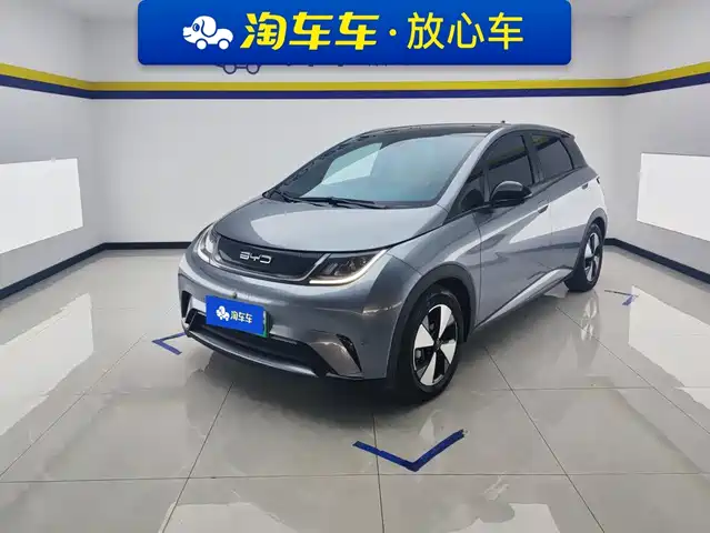BYD Dolphin