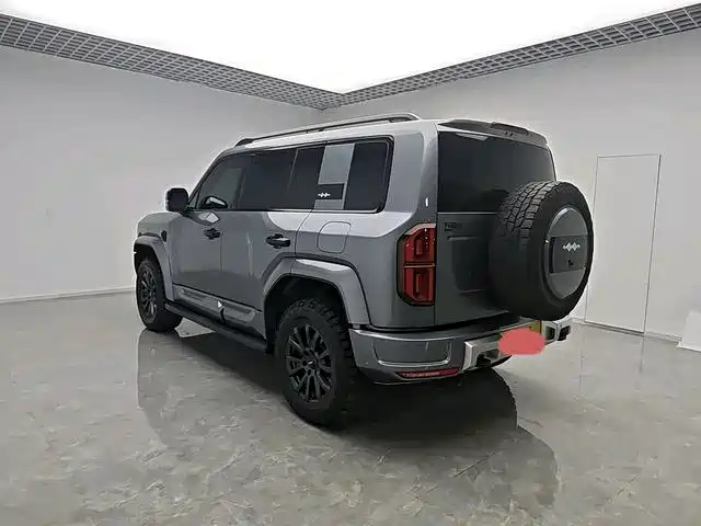 FANG CHENG BAO LEOPARD 5