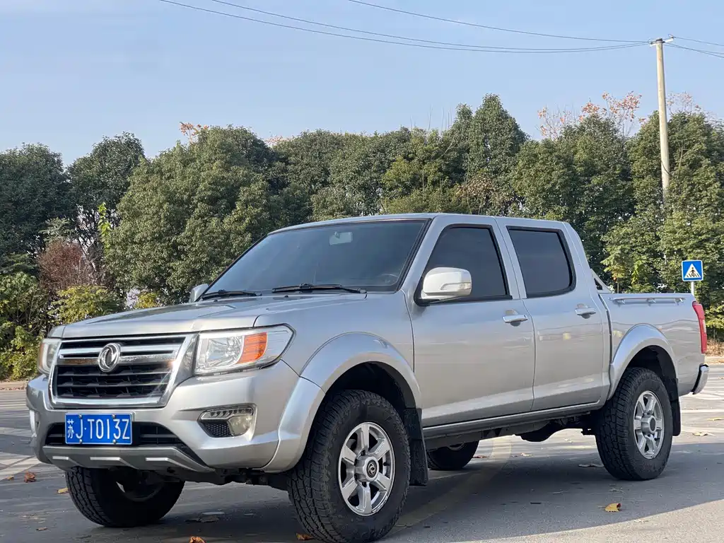 DONGFENG RUIQI