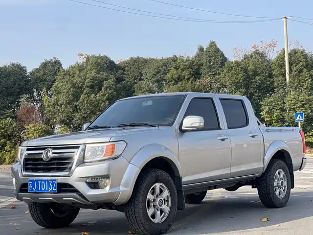 DONGFENG RUIQI 2019