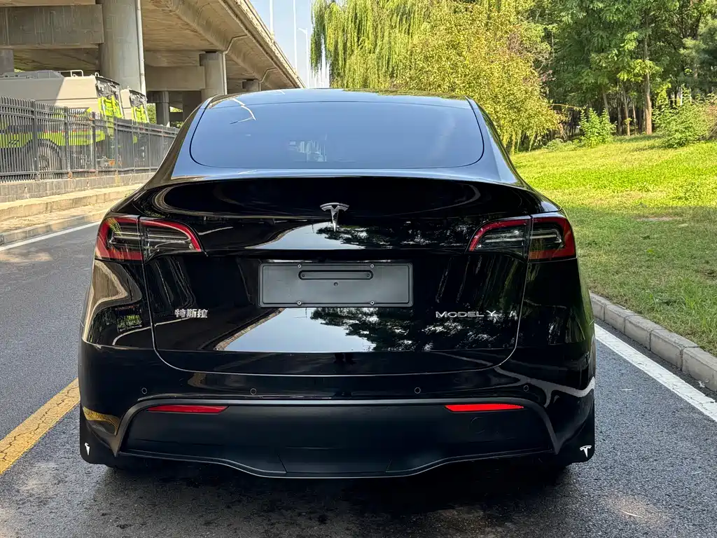 Tesla Model Y — миниатюра 12