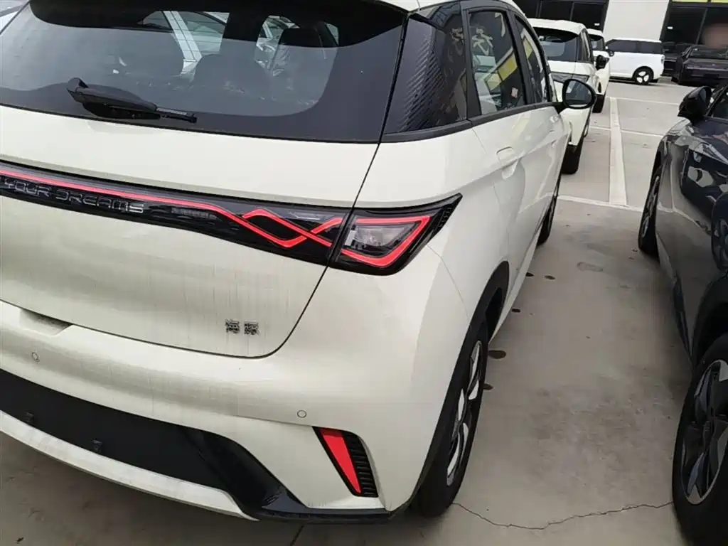 BYD Dolphin 2025 420km Freedom