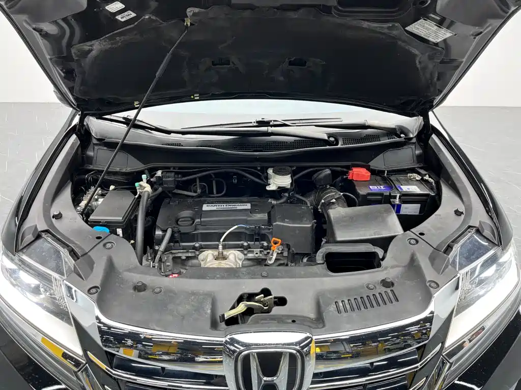 Honda Elysion — миниатюра 19