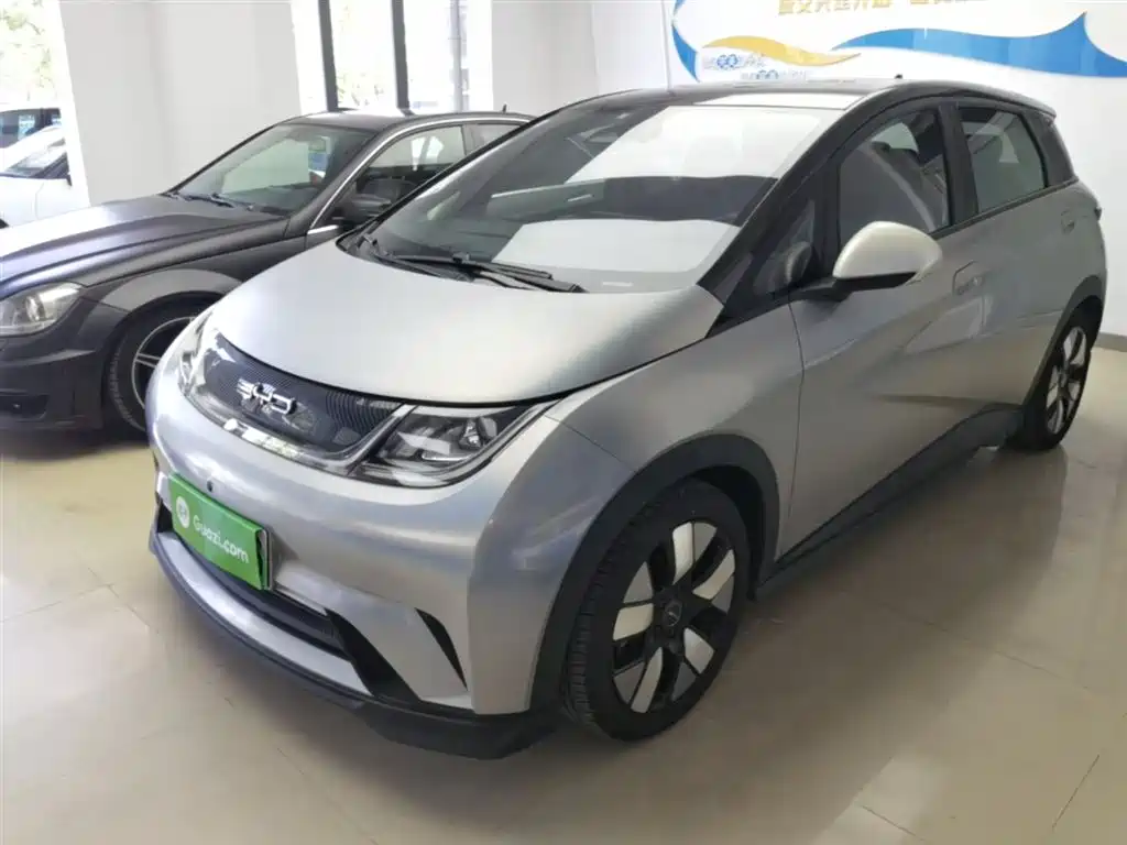 BYD Dolphin 2021 401km Knight Edition
