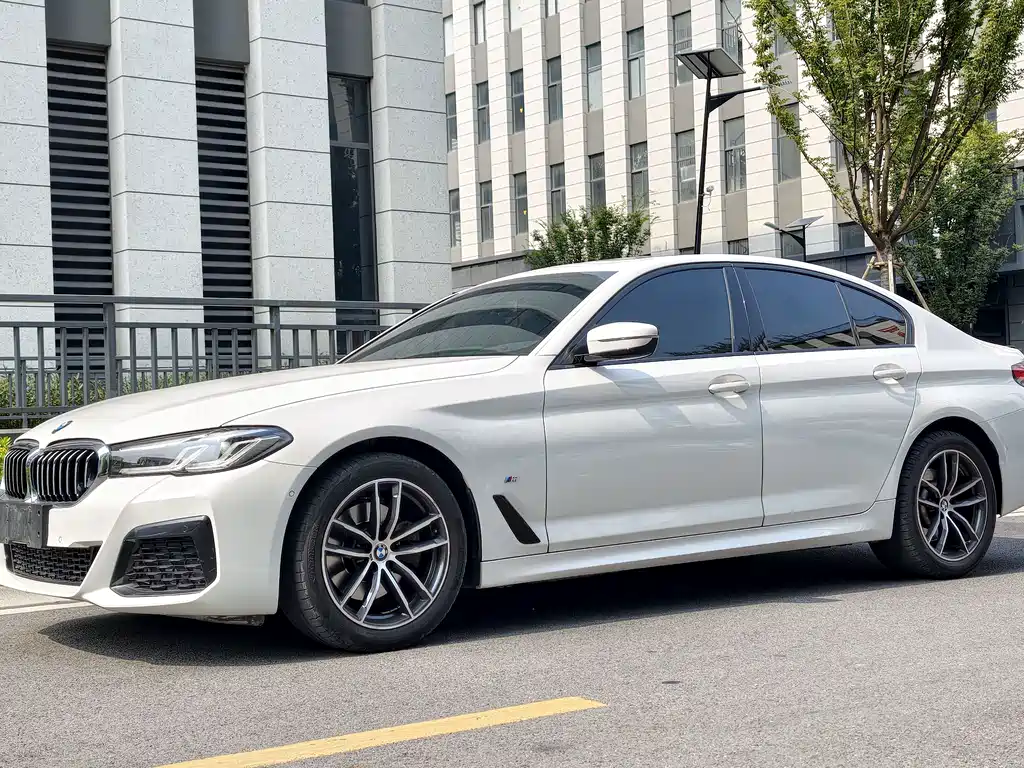 BMW 5 Series (Import)