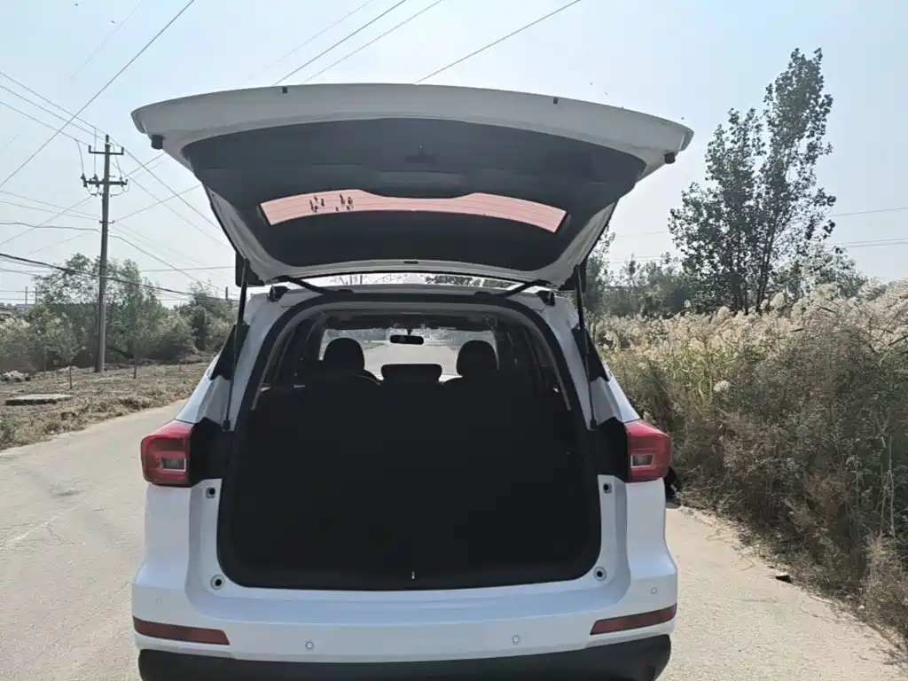 Haval M6 — миниатюра 19