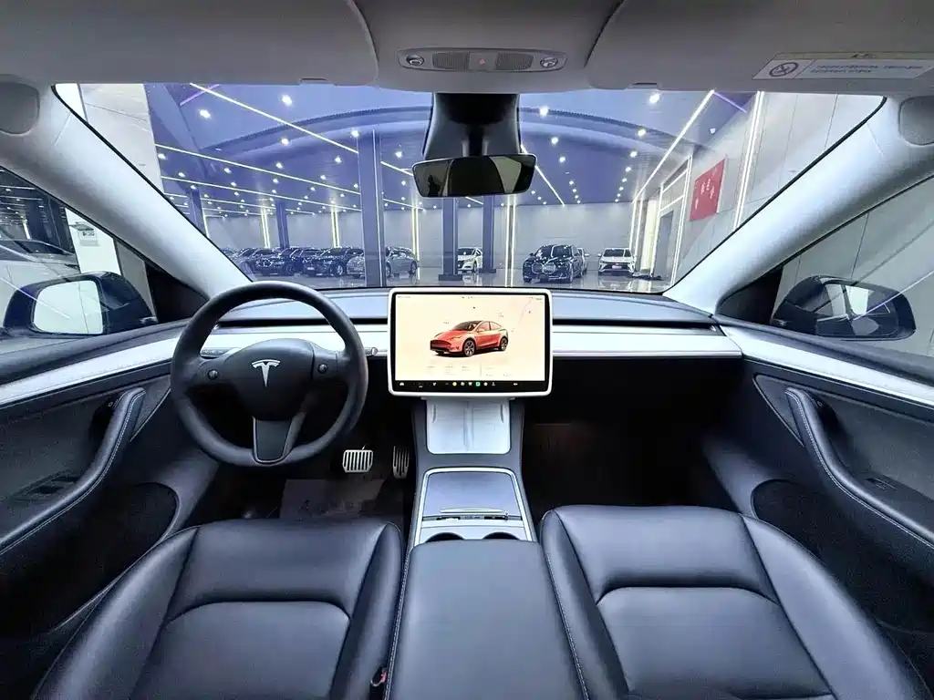 Tesla Model Y — миниатюра 5