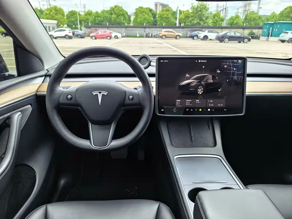 Tesla Model Y — миниатюра 10