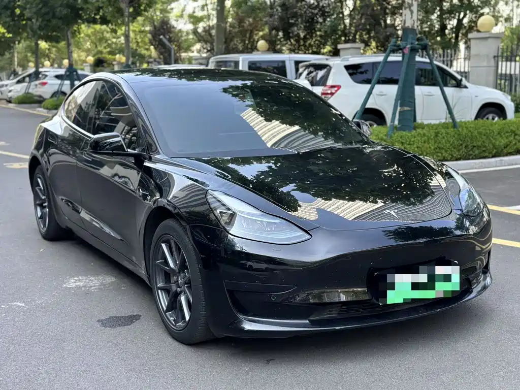 Tesla Model 3 — миниатюра 3