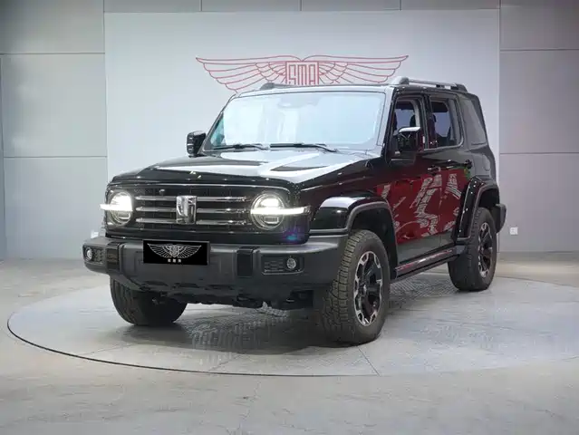 TANK TANK 300 NEW ENERGY 2024