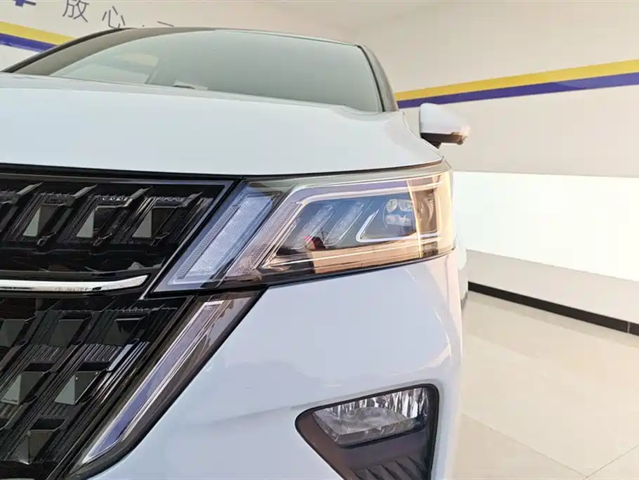 Wuling Xingchen 2022 2.0L DHT