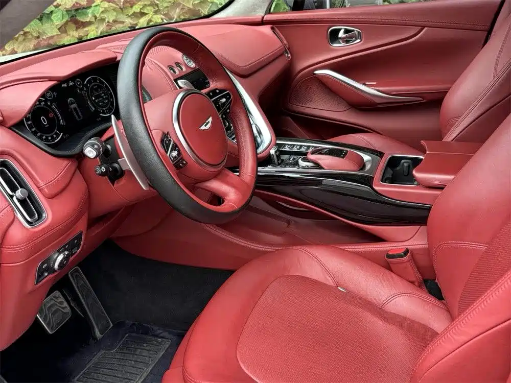 Aston Martin DBX — миниатюра 13