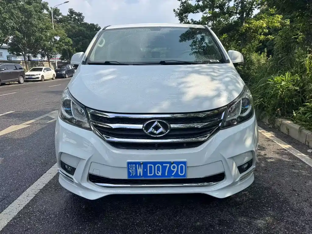 SAIC MAXUS CHASE G10