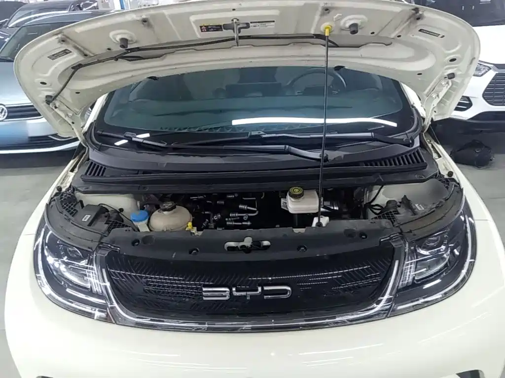 BYD Dolphin — миниатюра 20