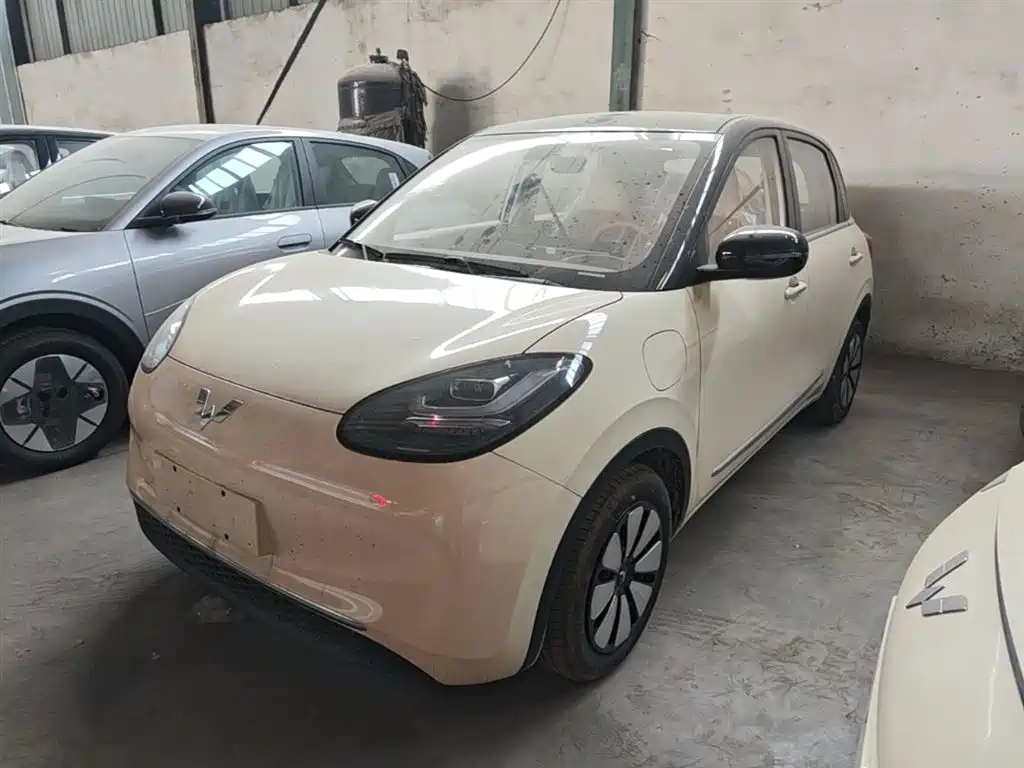 Wuling Binguo 2025 333km Delight