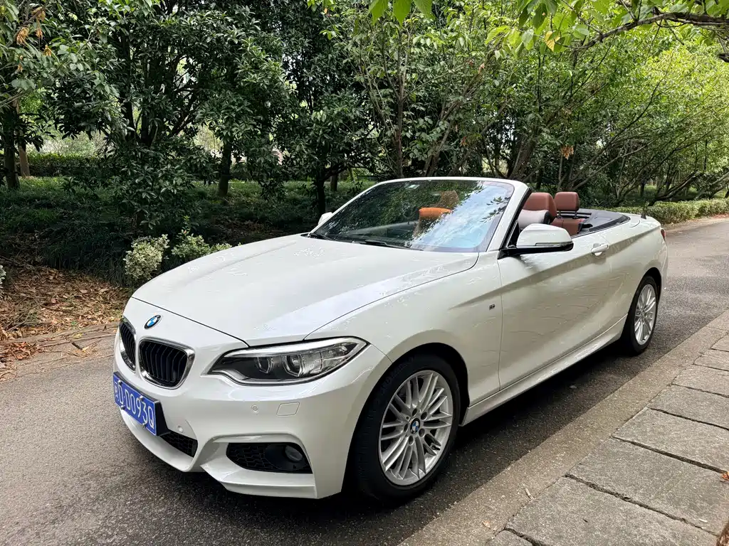 BMW 2 Series (Import) — миниатюра 8