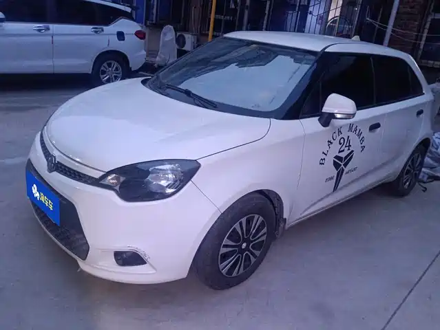 2013 MG 3