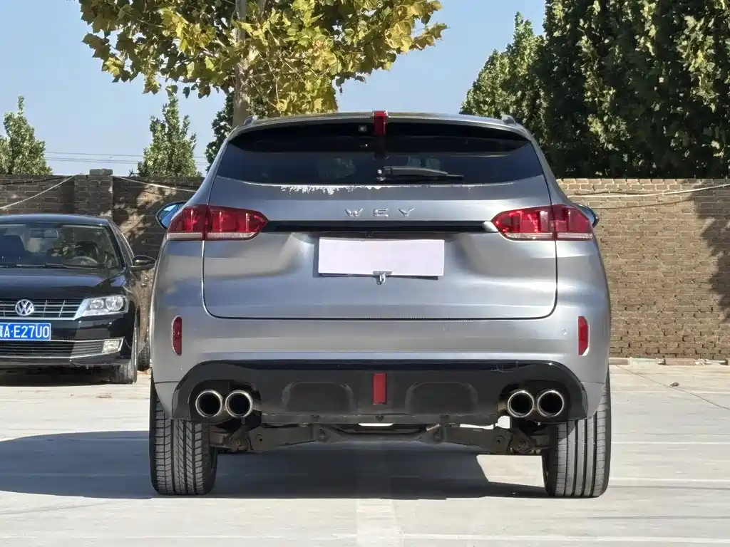 WEI PAI WEI BRAND VV5