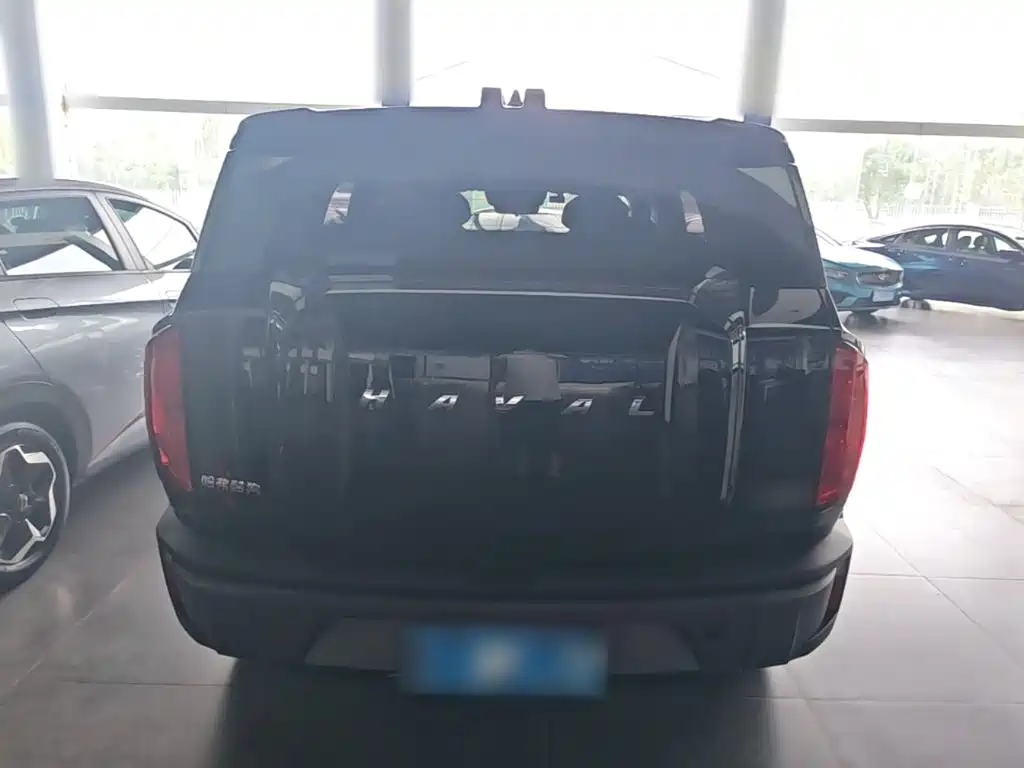 Haval Cool Dog — миниатюра 6