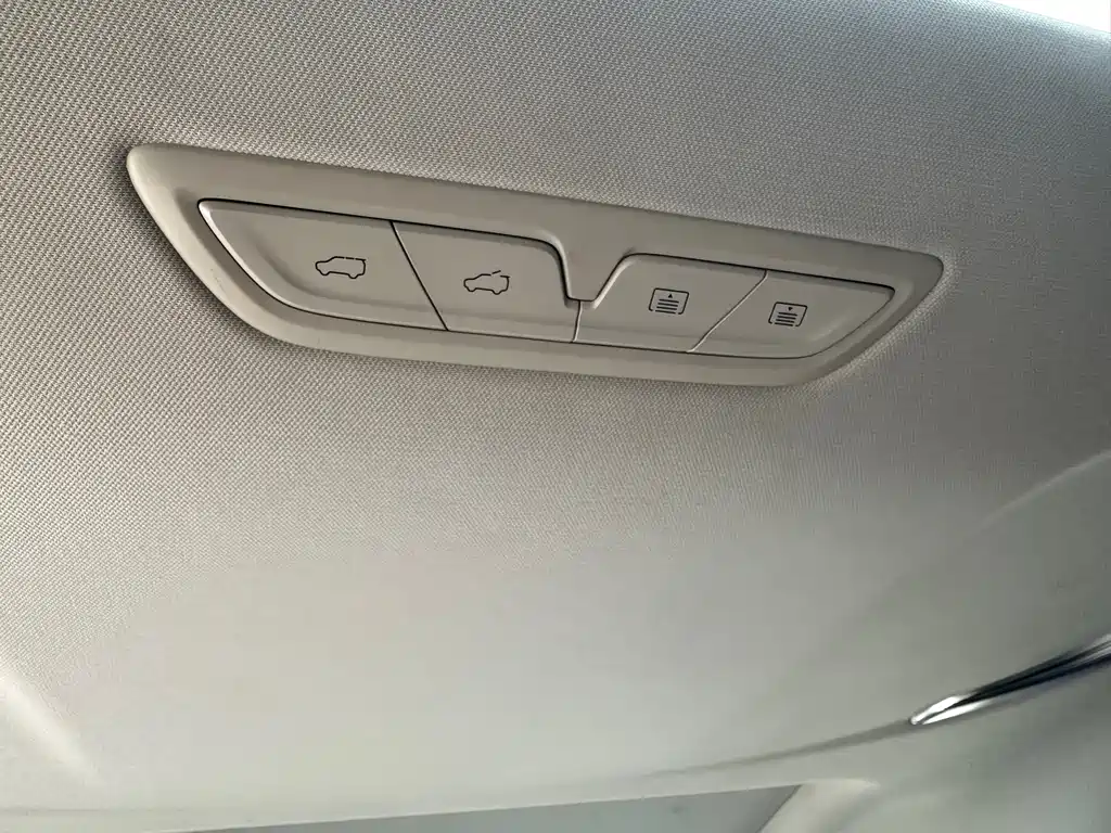 SAIC MAXUS CHASE G20