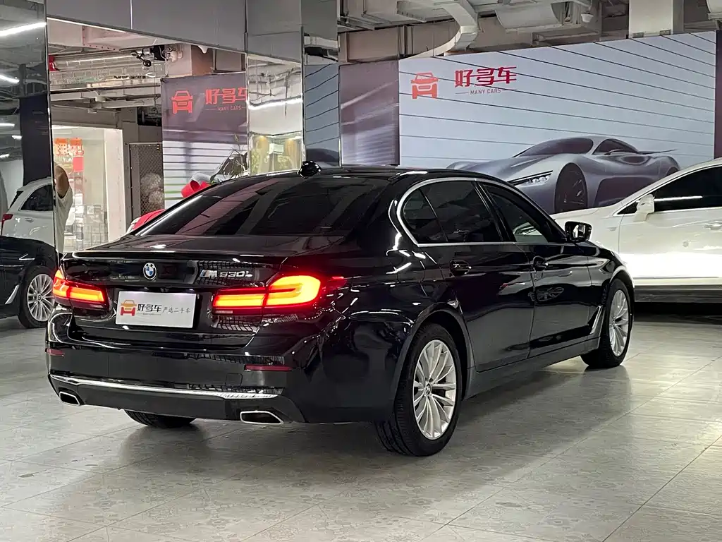 BMW 5 Series — миниатюра 6
