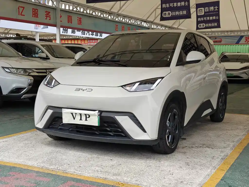 BYD Seagull 2024 Glory Edition 405km Fly Fly Edition