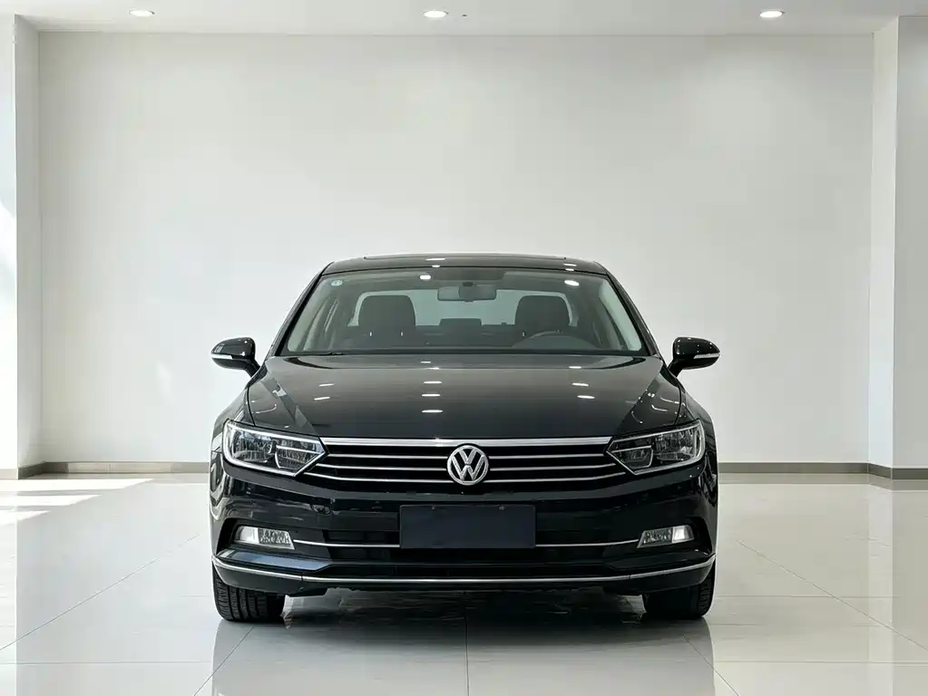 Volkswagen Magotan — миниатюра 2