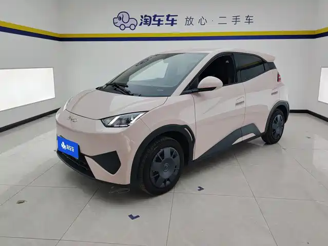 2025 BYD Seagull