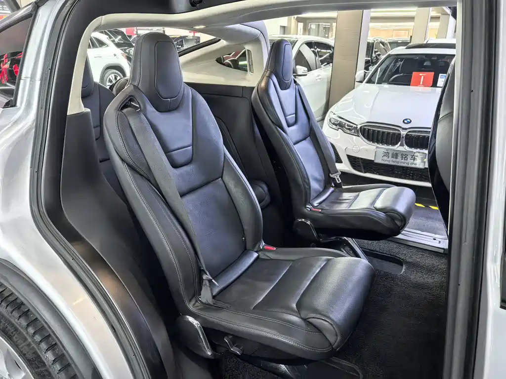 Tesla Model X — миниатюра 10