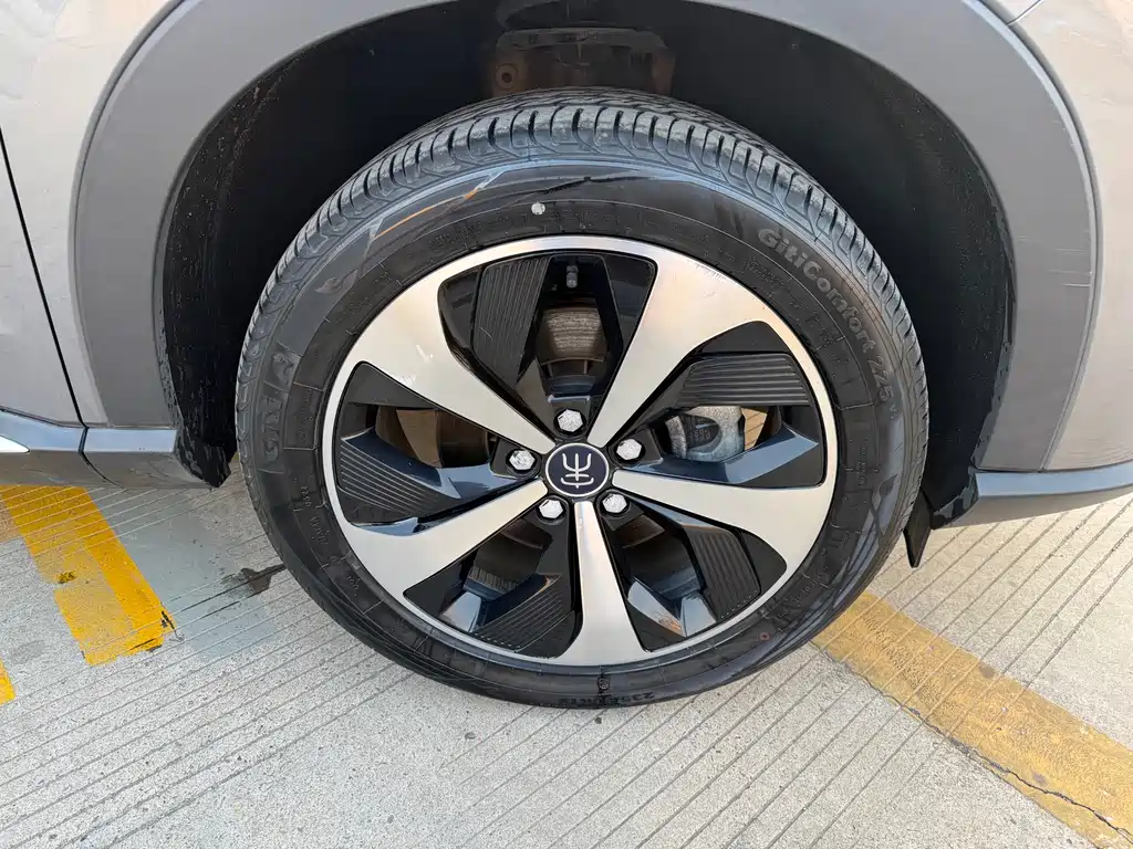 BYD SONGJIANG NEW ENERGY