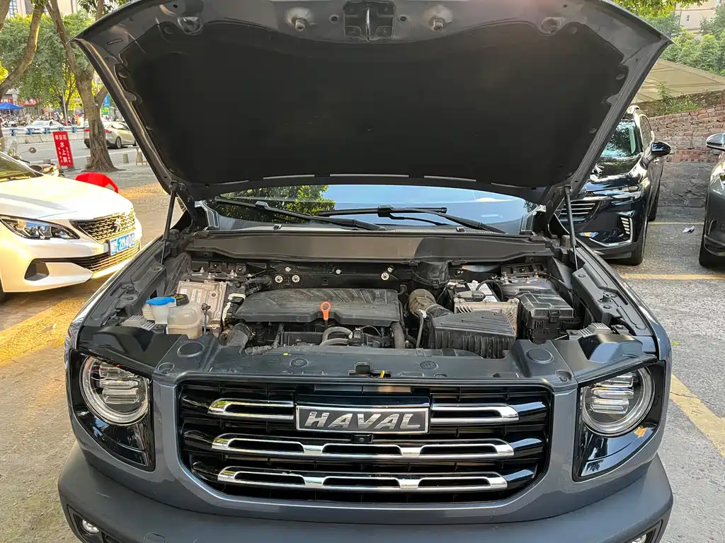 Haval Big Dog — миниатюра 15