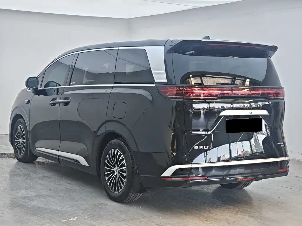 Denza Denza D9 — миниатюра 9