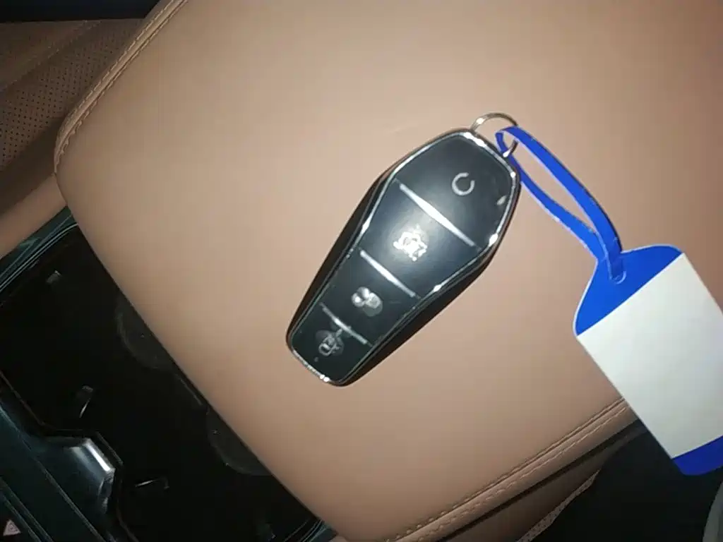BYD L EV — миниатюра 9
