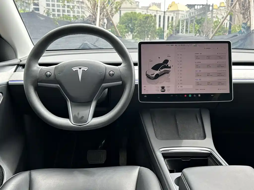 Tesla Model Y — миниатюра 18