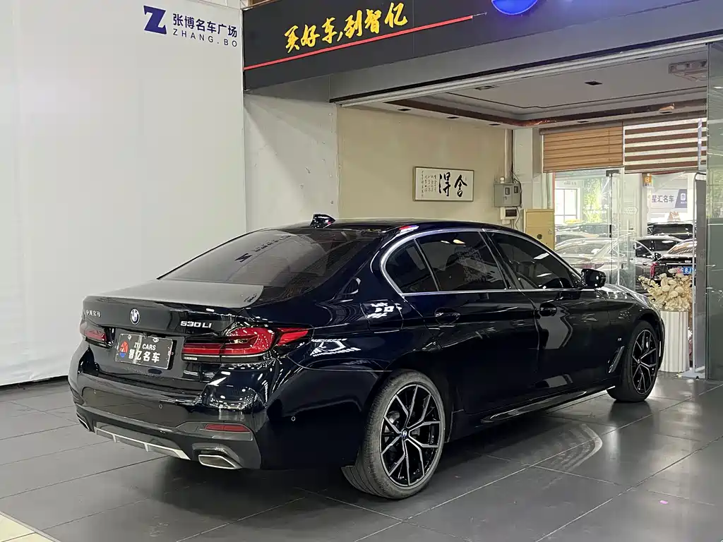 BMW 5 Series — миниатюра 4