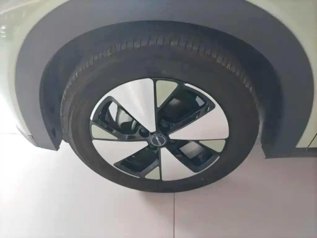 BYD Dolphin — миниатюра 23