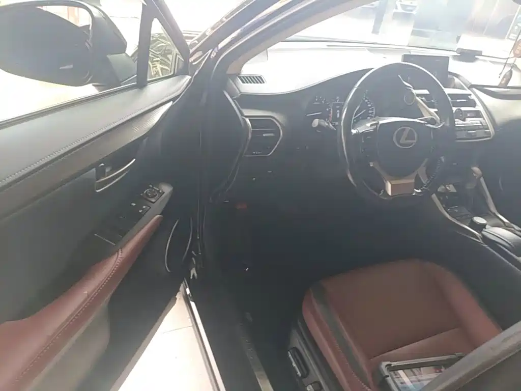 Lexus NX — миниатюра 16