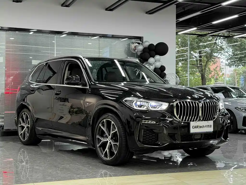 BMW X5 (Import) — миниатюра 2