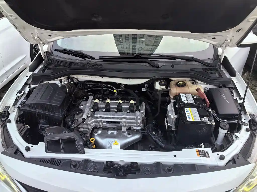 Chevrolet Cavalier — миниатюра 20