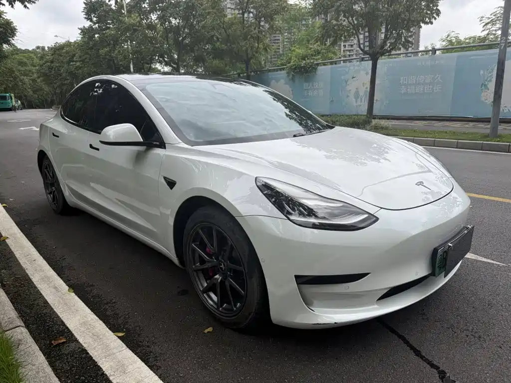 Tesla Model 3 — миниатюра 3