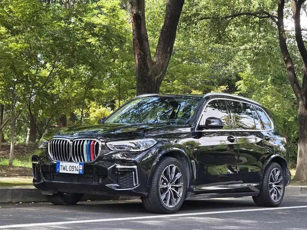 BMW X5 2022 xDrive 30Li Premium M Sport