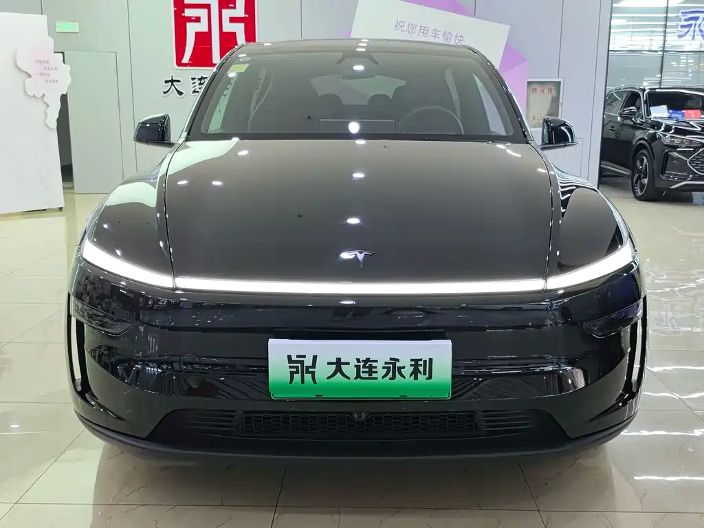 Tesla Model Y L — миниатюра 2