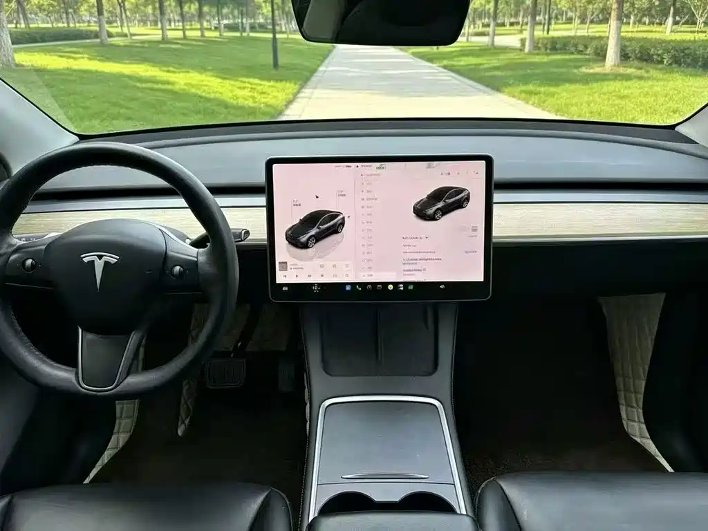 Tesla Model Y — миниатюра 4